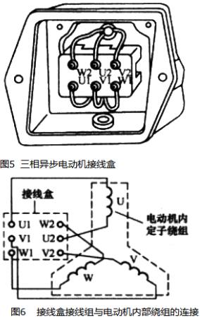 電動機原理與結構圖,三相異步電動機